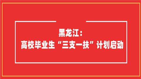 【招聘信息】2024年黑龙江省（望奎有岗）高校毕业生“三支一扶”计划招募公告